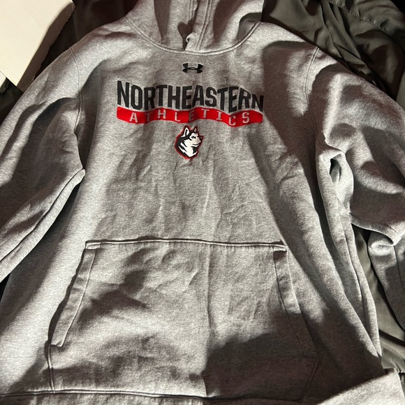 North Eastern huskies - Picture 2 of 3